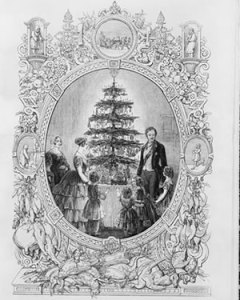 hith-christmas-tree-victoria