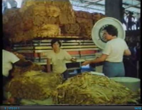 BATCo - A Video Profile (1986)