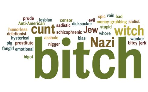 Figure 2: Names that respondents in the study „Women and Wikimedia 2011" say they have been called; word size represents frequency (vgl. http://bit.ly/14LdgXL)